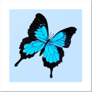 Blue Monarch Butterfly Posters and Art